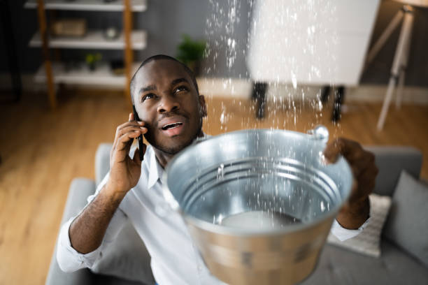 Professional Water damage restoration in Wesley Chapel, NC