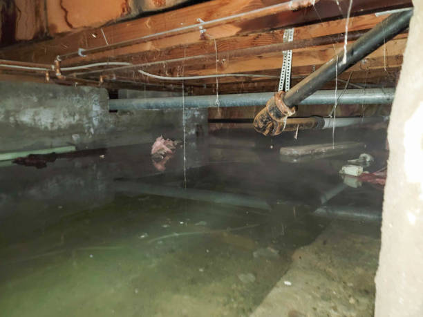 Water damage restoration mold remediation in Wesley Chapel, NC