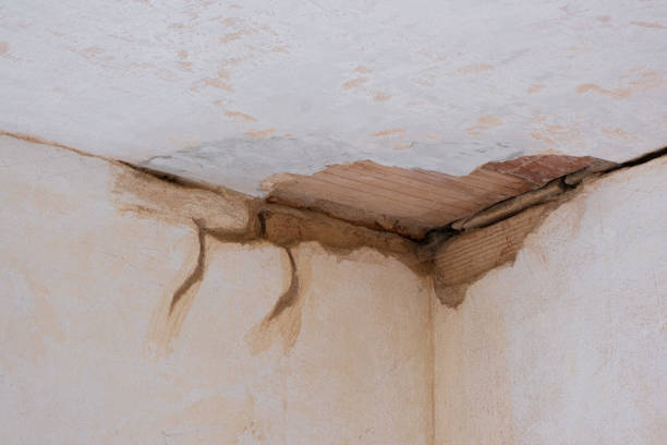 Wesley Chapel, NC Water damage restoration Company