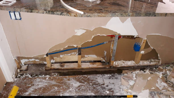 Best Mold removal after water damage  in Wesley Chapel, NC