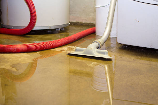 Best Water damage cleanup near me  in Wesley Chapel, NC