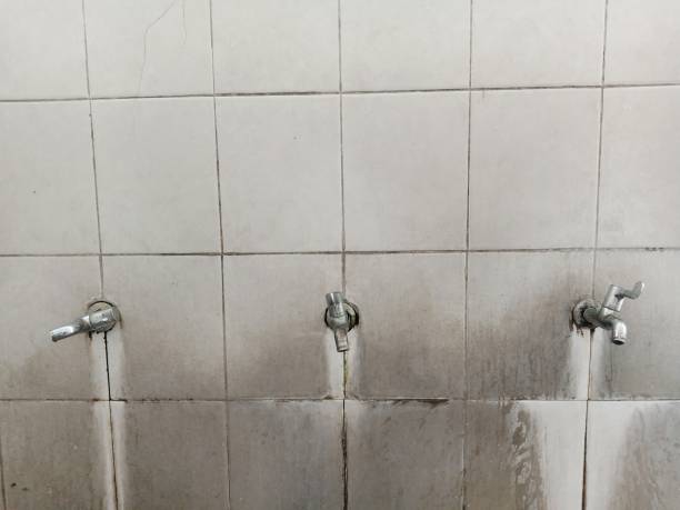 Best Ceiling water damage repair  in Wesley Chapel, NC