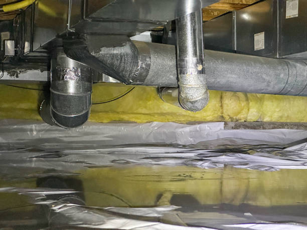 Best Water damage restoration mold remediation  in Wesley Chapel, NC