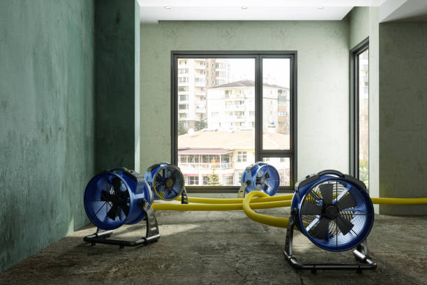 Best Water damage restoration near me  in Wesley Chapel, NC